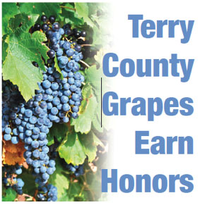 grapes_honors