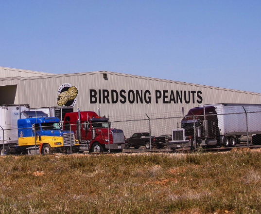 Birdsong Peanuts Brownfield Texas